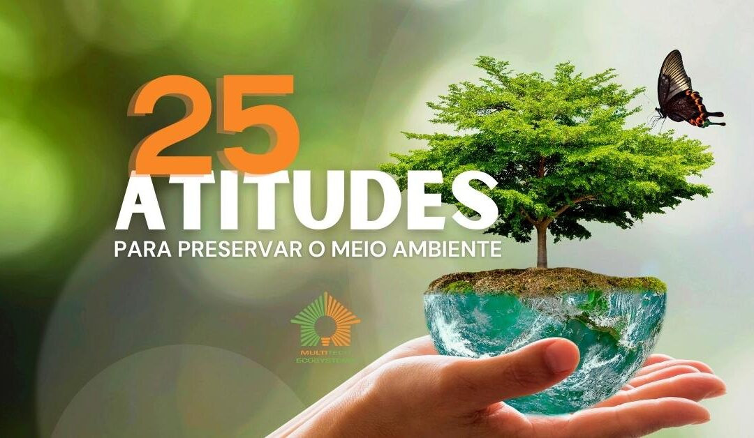 Exemplos Pr Ticos De Sustentabilidade Ambiental Descubra Como