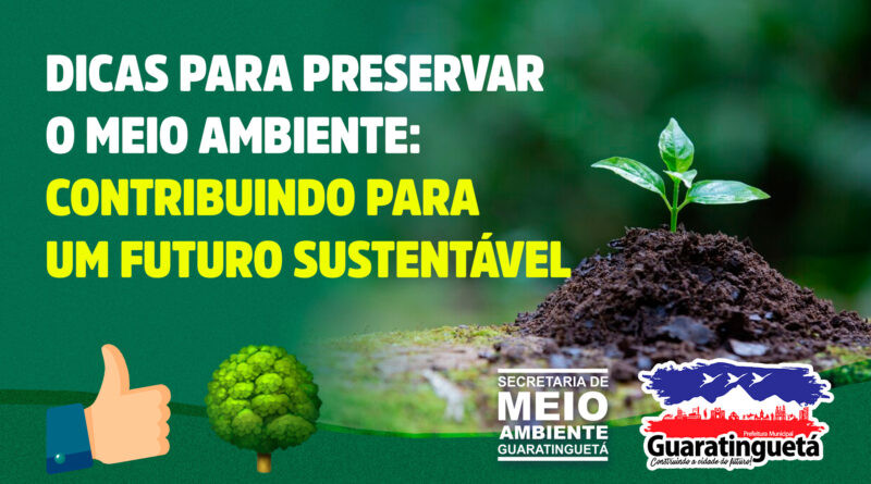 Extrativismo Sustent Vel Preservando O Meio Ambiente E Garantindo O