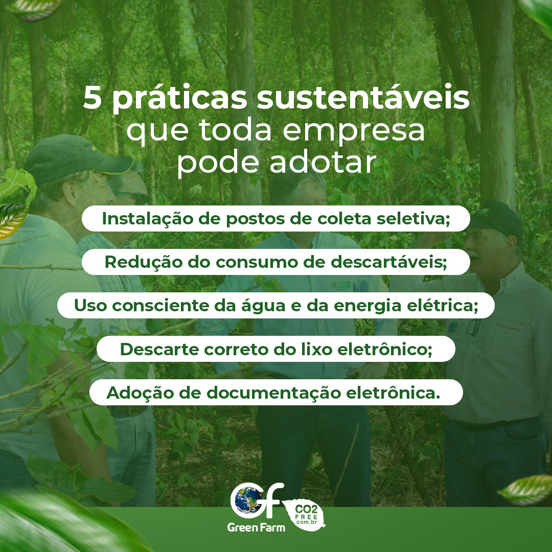 5 Práticas Sustentáveis Para Adotar Agora Mesmo Conheça As Principais Opções E Entenda Sua 4187