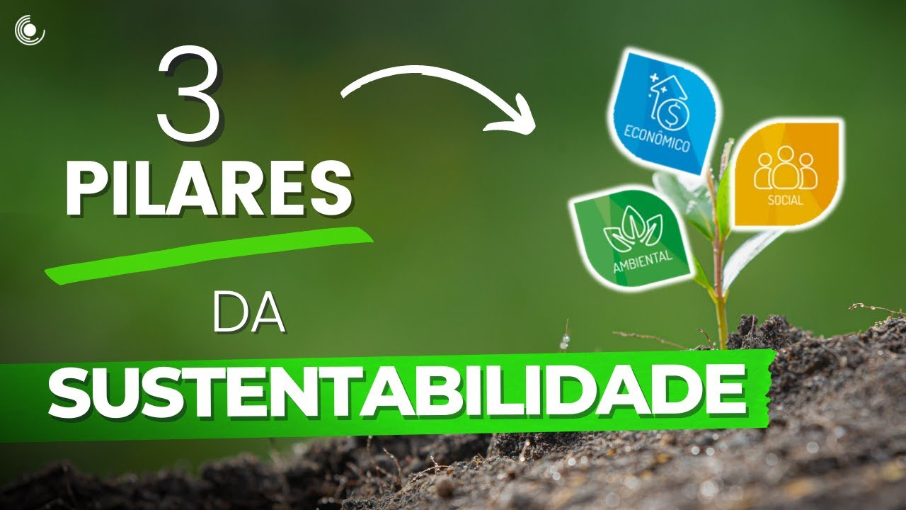 Os 3 Principais Pilares Da Sustentabilidade Ambiental Life Vidalia